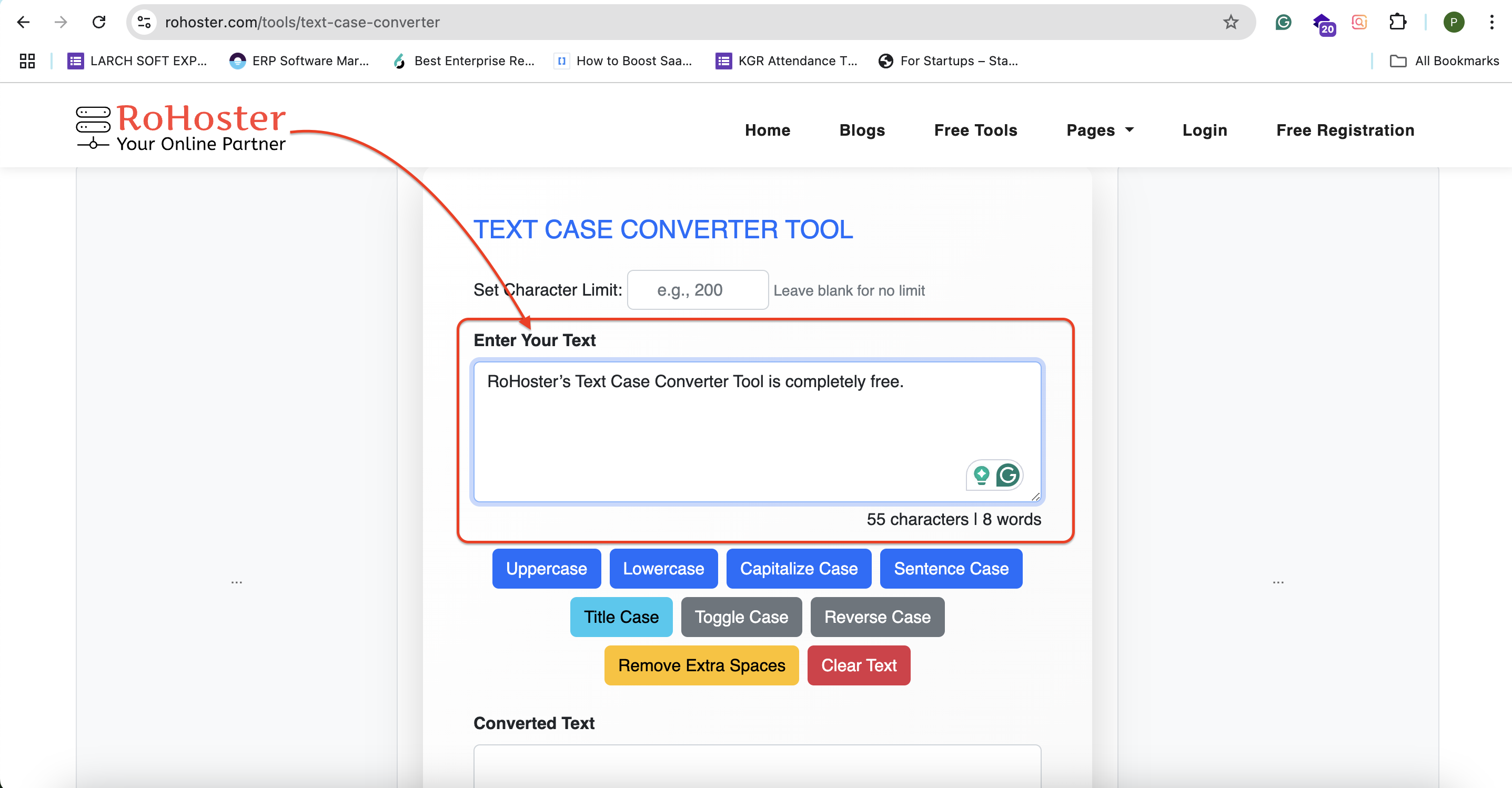 How to Use the Text Case Converter Tool by RoHoster