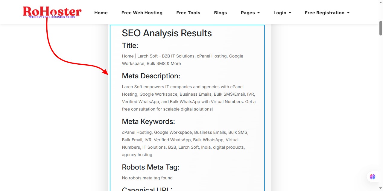 How to Use the SEO Search Optimization Checker Tool by RoHoster
