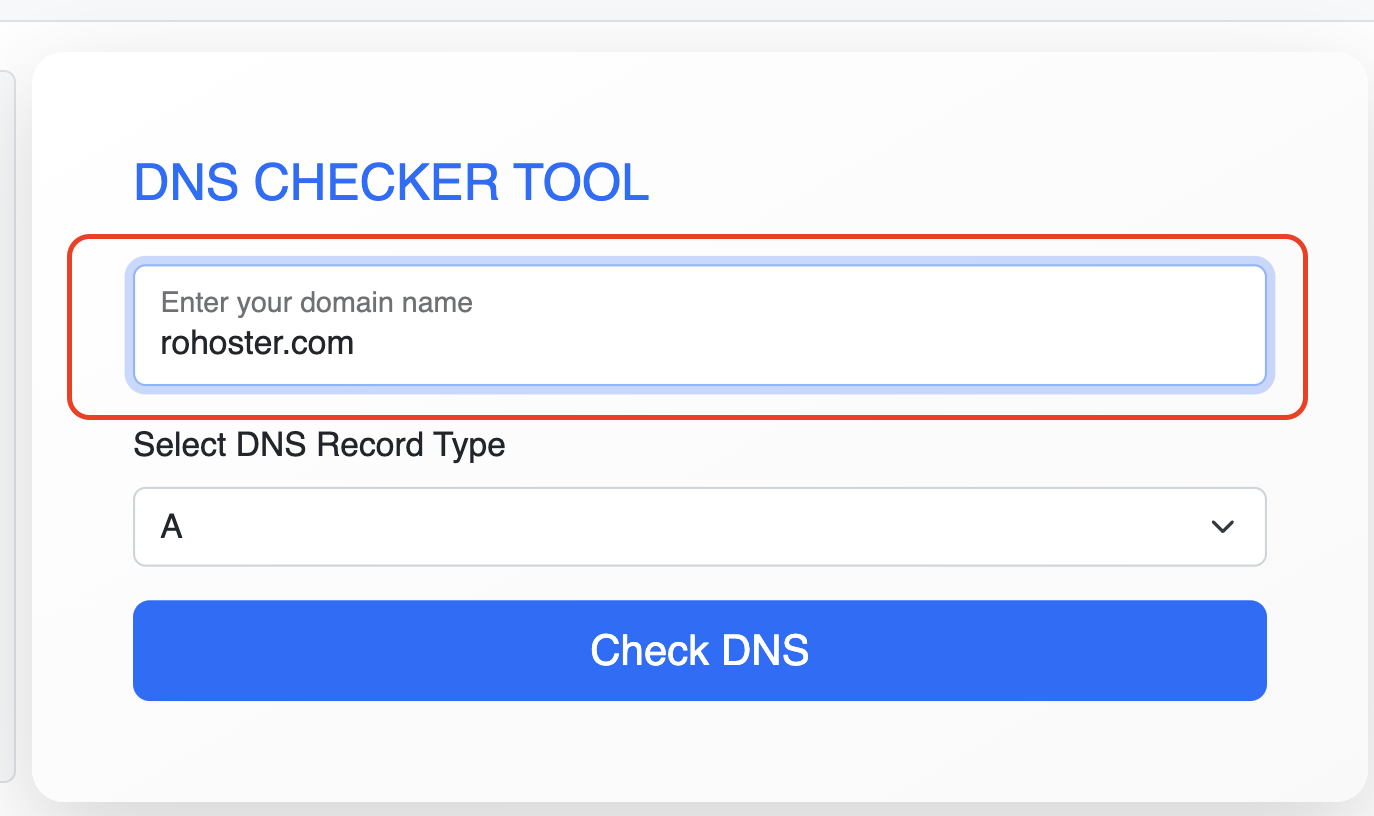 How to Use the Free DNS Checker Tool by RoHoster
