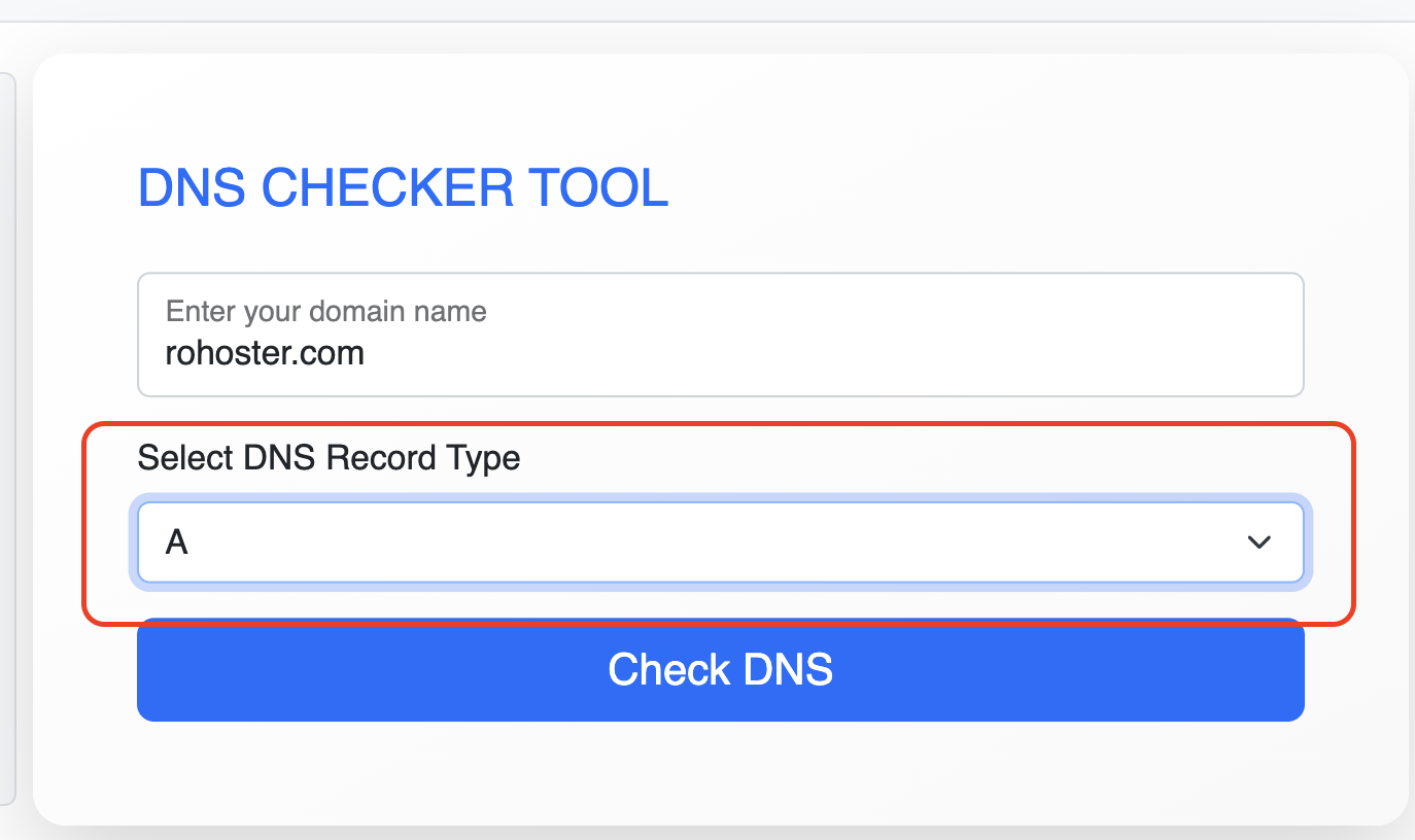 How to Use the Free DNS Checker Tool by RoHoster