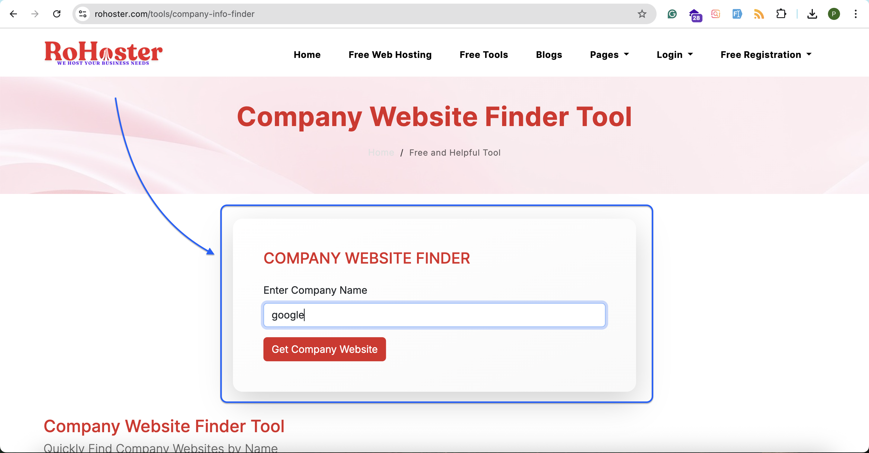 How to Use the Company Website Finder Tool by RoHoster
