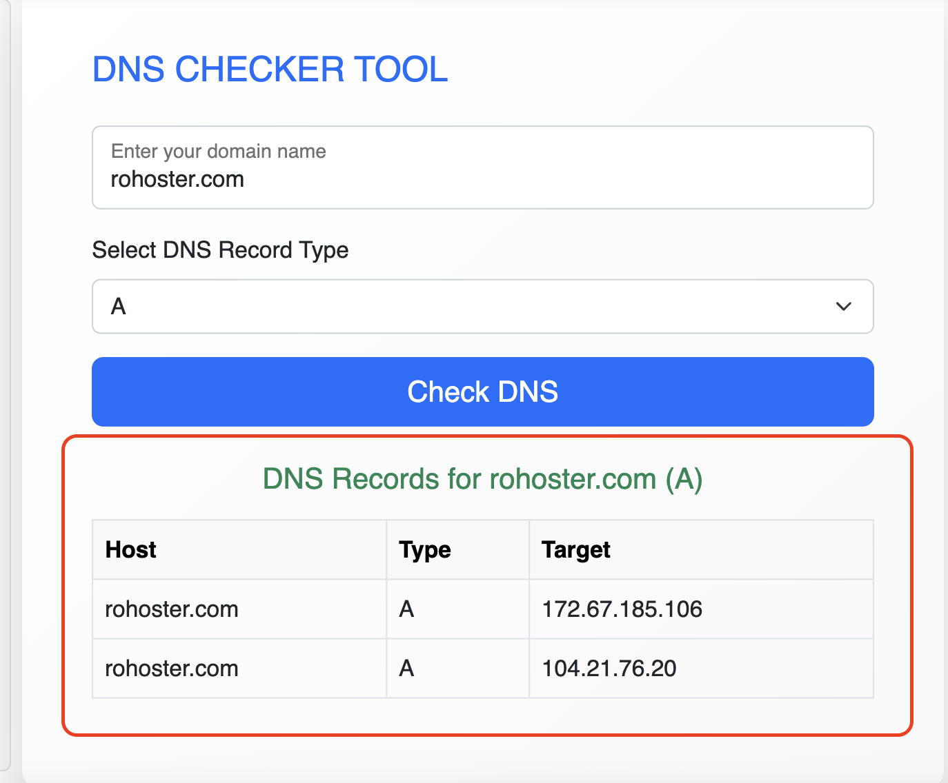 How to Use the Free DNS Checker Tool by RoHoster