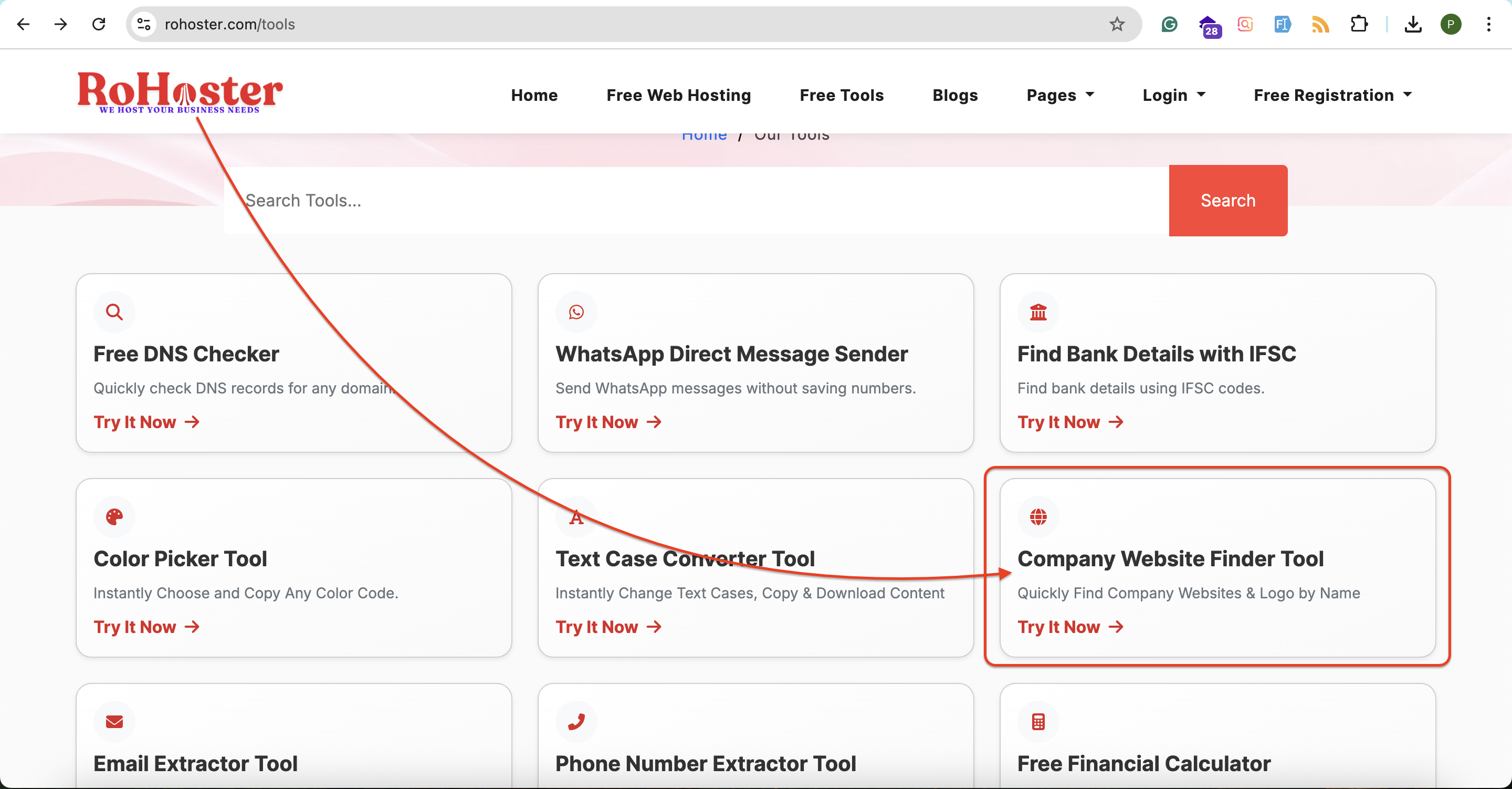 How to Use the Company Website Finder Tool by RoHoster